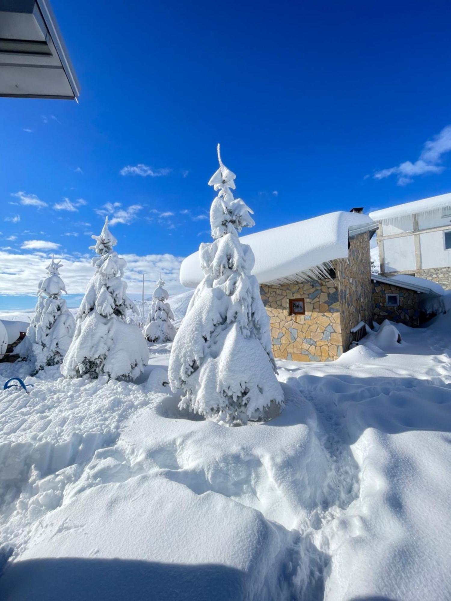 Villa 80 Kodra E Diellit テトヴォ エクステリア 写真